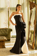 Terani Evenings Dress 242E3151