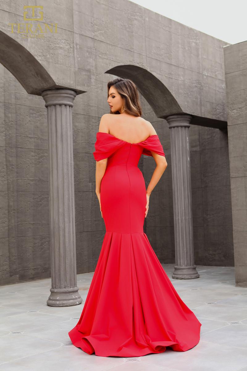 Terani Evenings Dress 251E4271