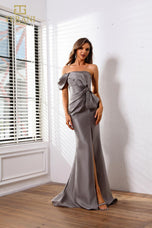 Terani Evenings Dress 251E4555