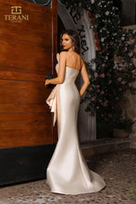 Terani Evenings Dress 251E4265