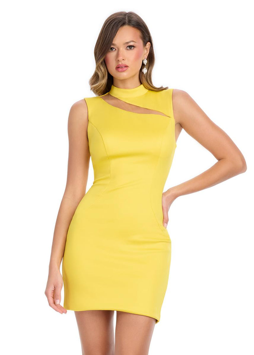 ASHLEYlauren High Neck Cut Out Cocktail Dress 4798