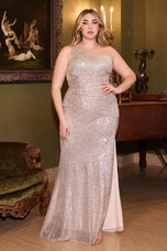 Ladivine Dress CH077C